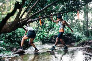 BIB: 
                            <button type="button" onclick="openModal(25399228)" class="btn btn-primary btn-sm float-right btn-popup" data-toggle="modal" data-target=".modal-high-quality">
                        <i class="fas fa-shopping-cart"></i> Add to Cart
                    </button>
                                            <button type="button" onclick="isThisMe(25399228, true)" class="btn btn-success btn-sm float-right btn-popup btn-isme hidden" data-toggle="tooltip" data-placement="bottom" title="นี่คือรูปของคุณใช่ไหม คลิกที่นี่เพื่อเอาเข้าอัลบั้ม">
                        <i class="fas fa-plus"></i> Add to album
                    </button>
                    <button type="button" onclick="isThisMe(25399228, false)" class="btn btn-warning btn-sm float-right btn-popup btn-isnotme hidden">
                        <i class="fas fa-ban"></i> Remove from album
                    </button>